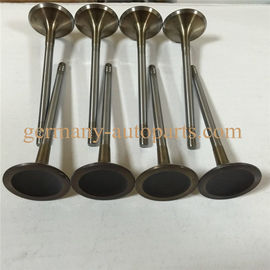Chrome Silicon Steel Engine Timing Control Intake Exhaust Valve Set For VW Audi 06D109601M